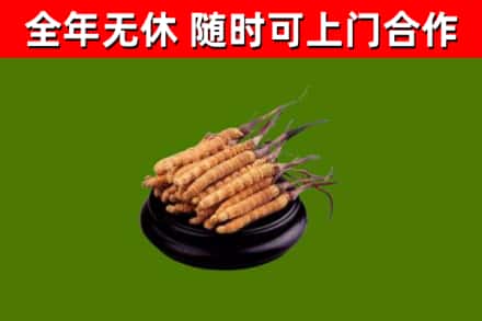巴中市烟酒回收冬虫夏草.jpg