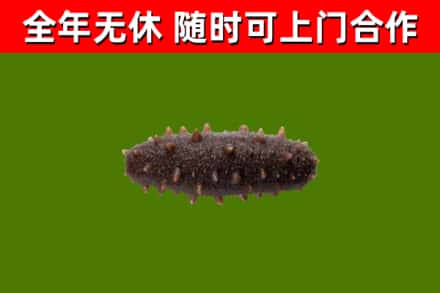 巴中市烟酒回收干海参.jpg